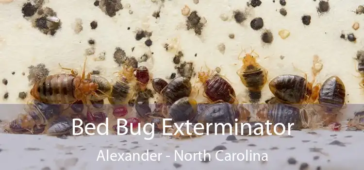 Bed Bug Exterminator Alexander - North Carolina