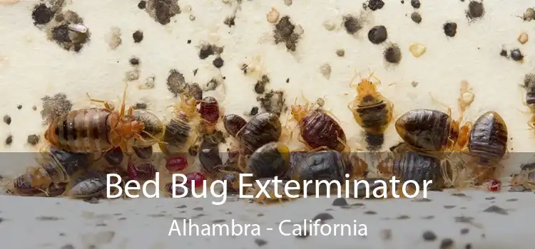 Bed Bug Exterminator Alhambra - California