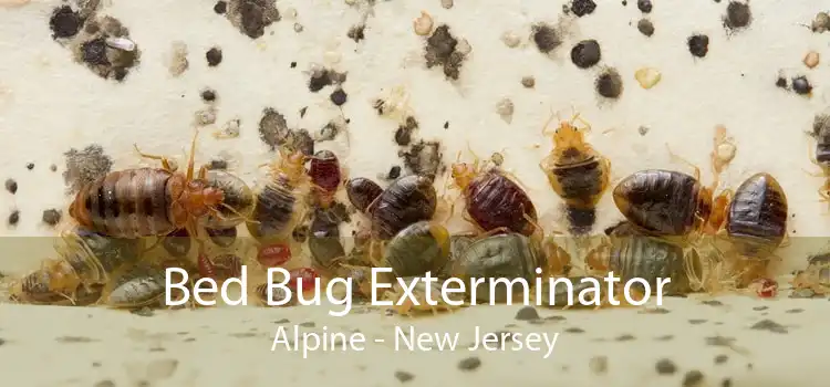 Bed Bug Exterminator Alpine - New Jersey