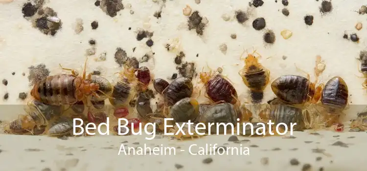 Bed Bug Exterminator Anaheim - California