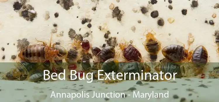 Bed Bug Exterminator Annapolis Junction - Maryland