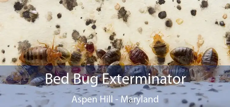 Bed Bug Exterminator Aspen Hill - Maryland