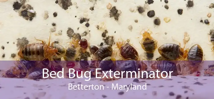 Bed Bug Exterminator Betterton - Maryland