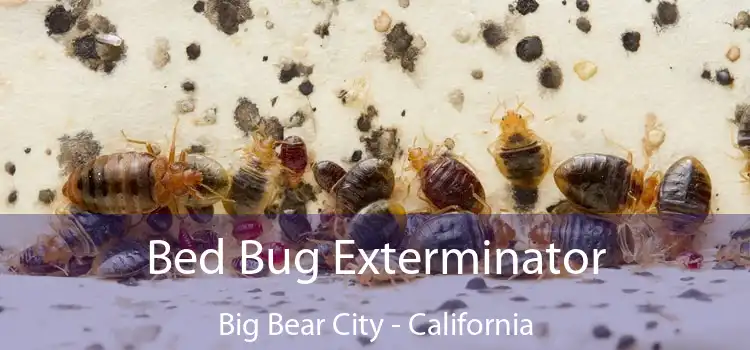 Bed Bug Exterminator Big Bear City - California