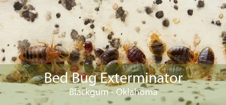 Bed Bug Exterminator Blackgum - Oklahoma