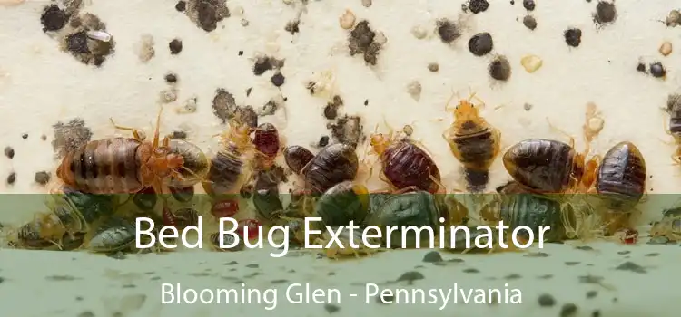 Bed Bug Exterminator Blooming Glen - Pennsylvania