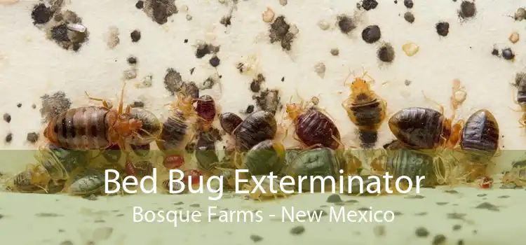 Bed Bug Exterminator Bosque Farms - New Mexico
