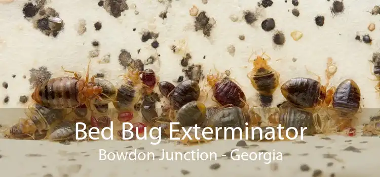 Bed Bug Exterminator Bowdon Junction - Georgia