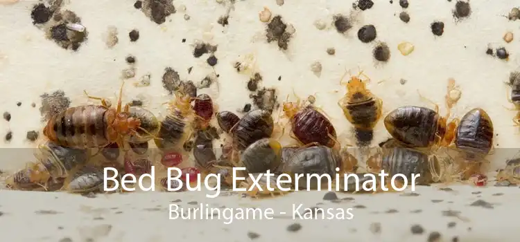 Bed Bug Exterminator Burlingame - Kansas