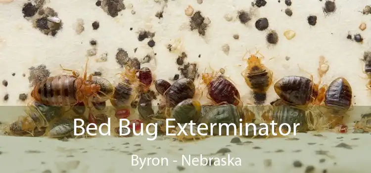 Bed Bug Exterminator Byron - Nebraska