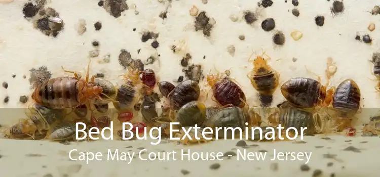 Bed Bug Exterminator Cape May Court House - New Jersey
