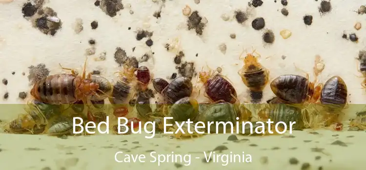 Bed Bug Exterminator Cave Spring - Virginia
