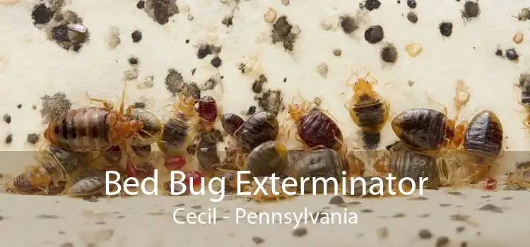 Bed Bug Exterminator Cecil - Pennsylvania