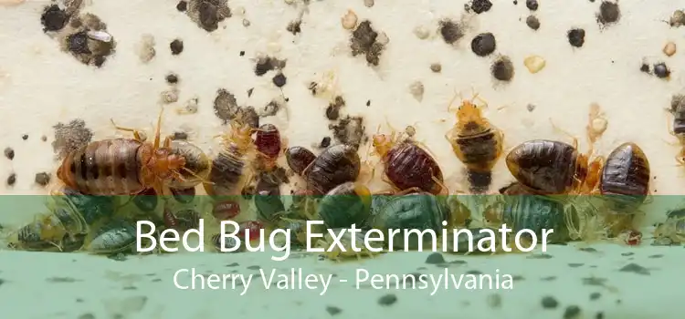 Bed Bug Exterminator Cherry Valley - Pennsylvania
