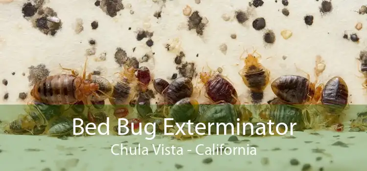 Bed Bug Exterminator Chula Vista - California