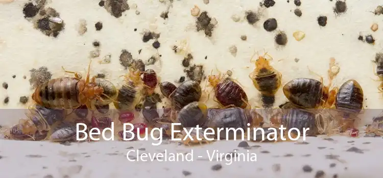 Bed Bug Exterminator Cleveland - Virginia