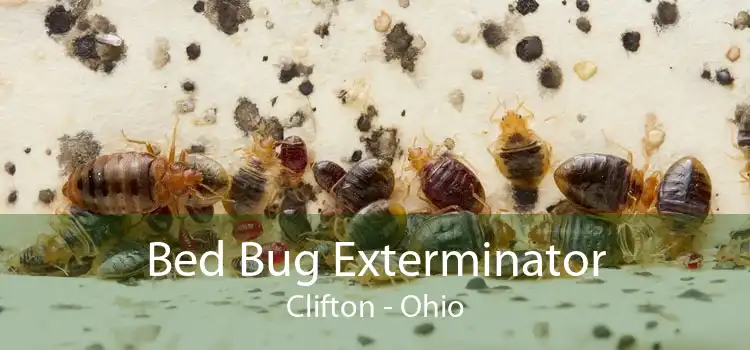 Bed Bug Exterminator Clifton - Ohio