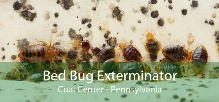 Bed Bug Exterminator Coal Center - Pennsylvania
