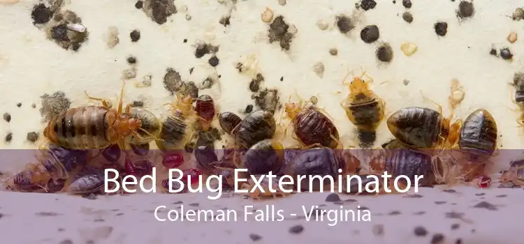 Bed Bug Exterminator Coleman Falls - Virginia