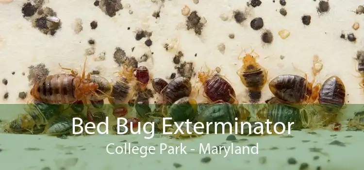 Bed Bug Exterminator College Park - Maryland