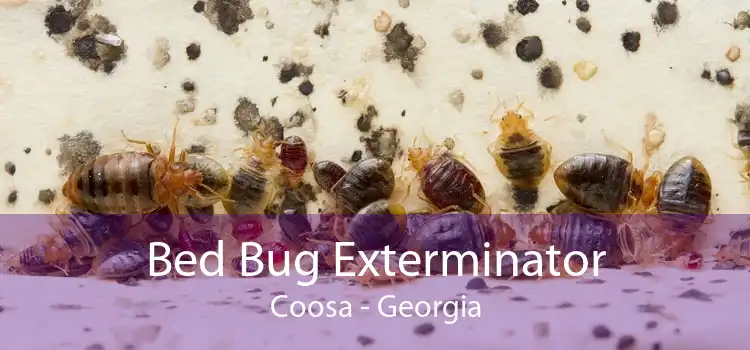 Bed Bug Exterminator Coosa - Georgia