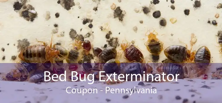 Bed Bug Exterminator Coupon - Pennsylvania