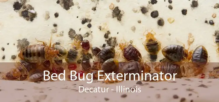 Bed Bug Exterminator Decatur - Illinois