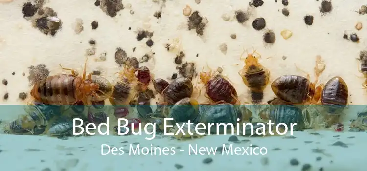 Bed Bug Exterminator Des Moines - New Mexico