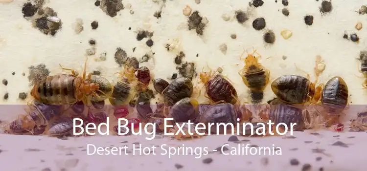 Bed Bug Exterminator Desert Hot Springs - California