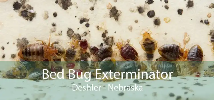 Bed Bug Exterminator Deshler - Nebraska