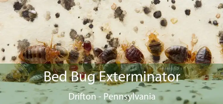 Bed Bug Exterminator Drifton - Pennsylvania