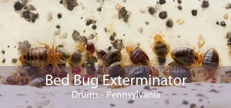 Bed Bug Exterminator Drums - Pennsylvania