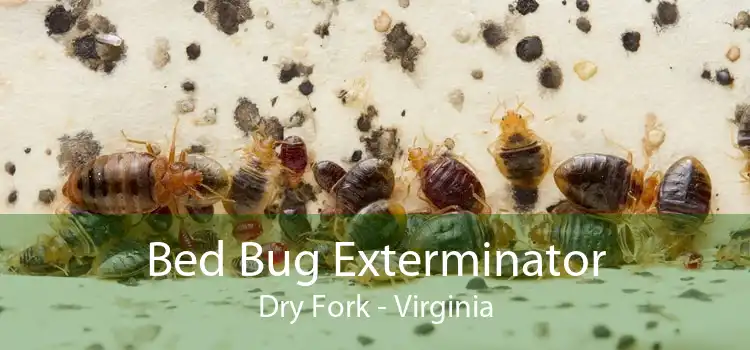 Bed Bug Exterminator Dry Fork - Virginia