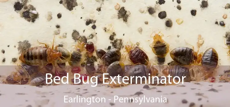 Bed Bug Exterminator Earlington - Pennsylvania