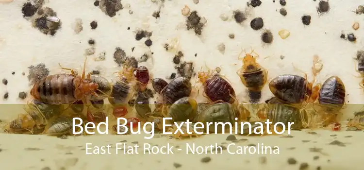Bed Bug Exterminator East Flat Rock - North Carolina
