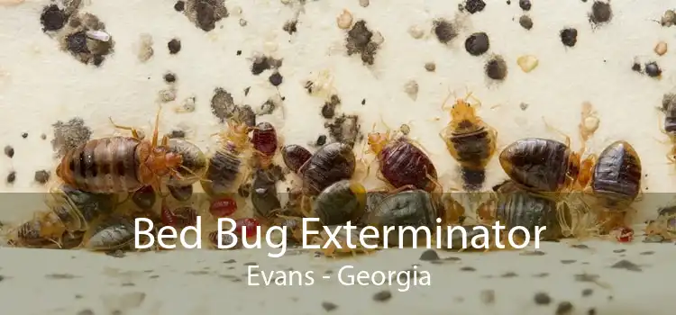 Bed Bug Exterminator Evans - Georgia