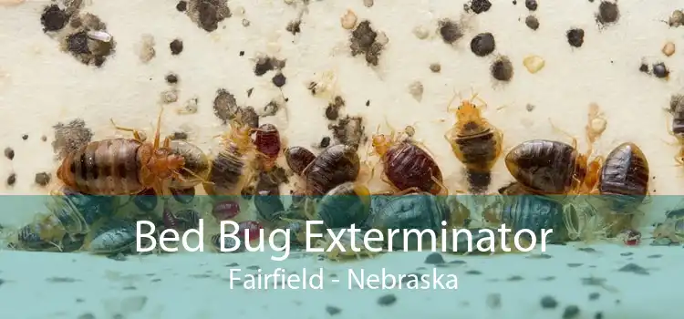 Bed Bug Exterminator Fairfield - Nebraska