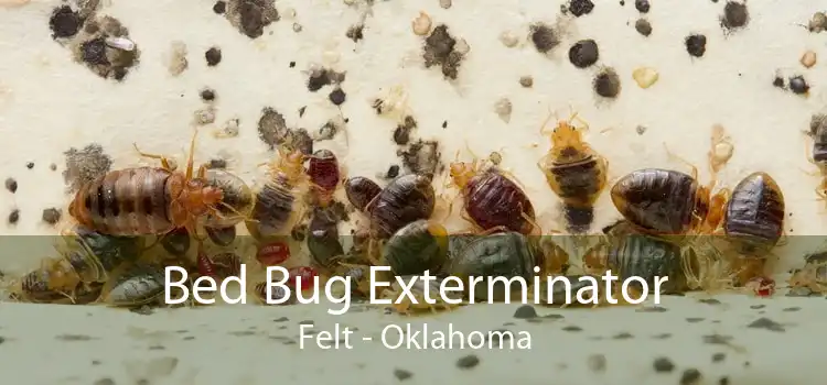 Bed Bug Exterminator Felt - Oklahoma