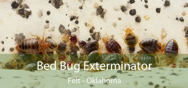 Bed Bug Exterminator Felt - Oklahoma