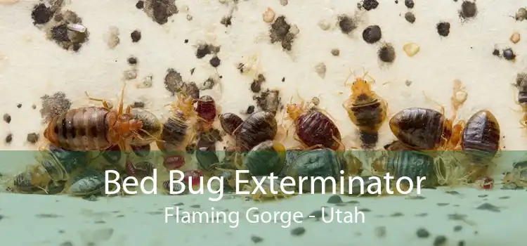 Bed Bug Exterminator Flaming Gorge - Utah