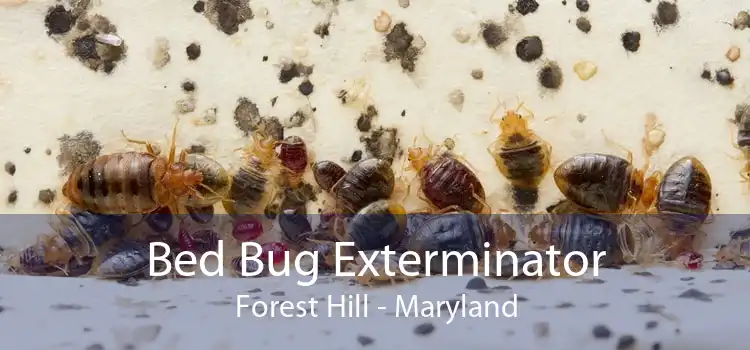 Bed Bug Exterminator Forest Hill - Maryland