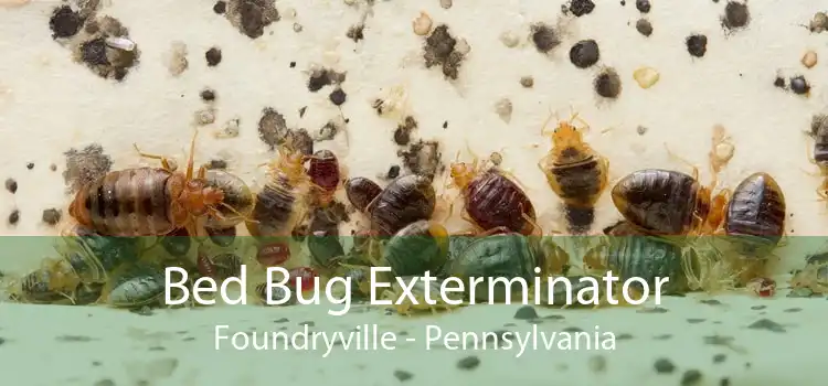 Bed Bug Exterminator Foundryville - Pennsylvania