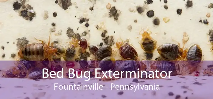 Bed Bug Exterminator Fountainville - Pennsylvania