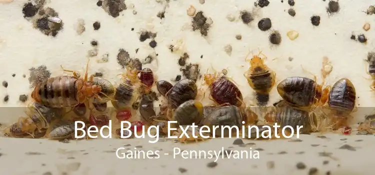 Bed Bug Exterminator Gaines - Pennsylvania