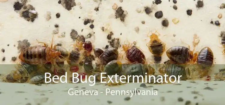 Bed Bug Exterminator Geneva - Pennsylvania