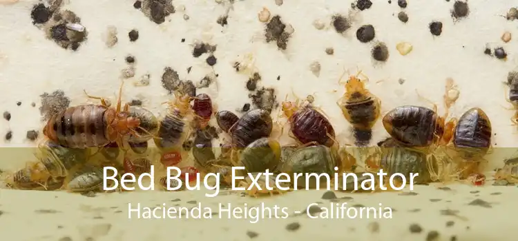 Bed Bug Exterminator Hacienda Heights - California