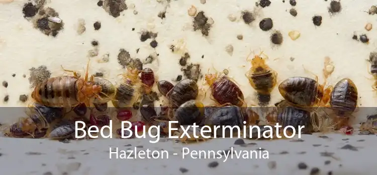 Bed Bug Exterminator Hazleton - Pennsylvania