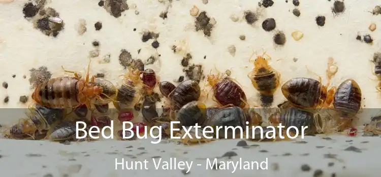 Bed Bug Exterminator Hunt Valley - Maryland