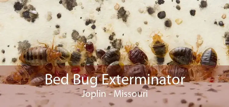 Bed Bug Exterminator Joplin - Missouri