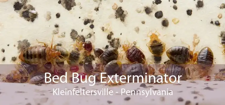 Bed Bug Exterminator Kleinfeltersville - Pennsylvania